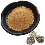 Maitake Powder Manufacturer - Mushroom Polysaccharide Pure & Factory Price
