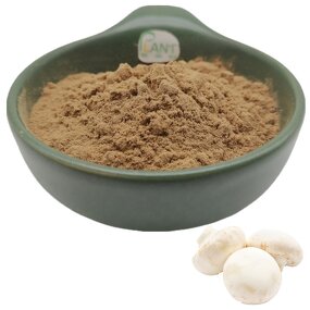 Button Mushroom Extract Powder Manufacturer - Organic & Factory