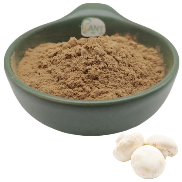 Button Mushroom Extract Powder Manufacturer - Organic & Factory