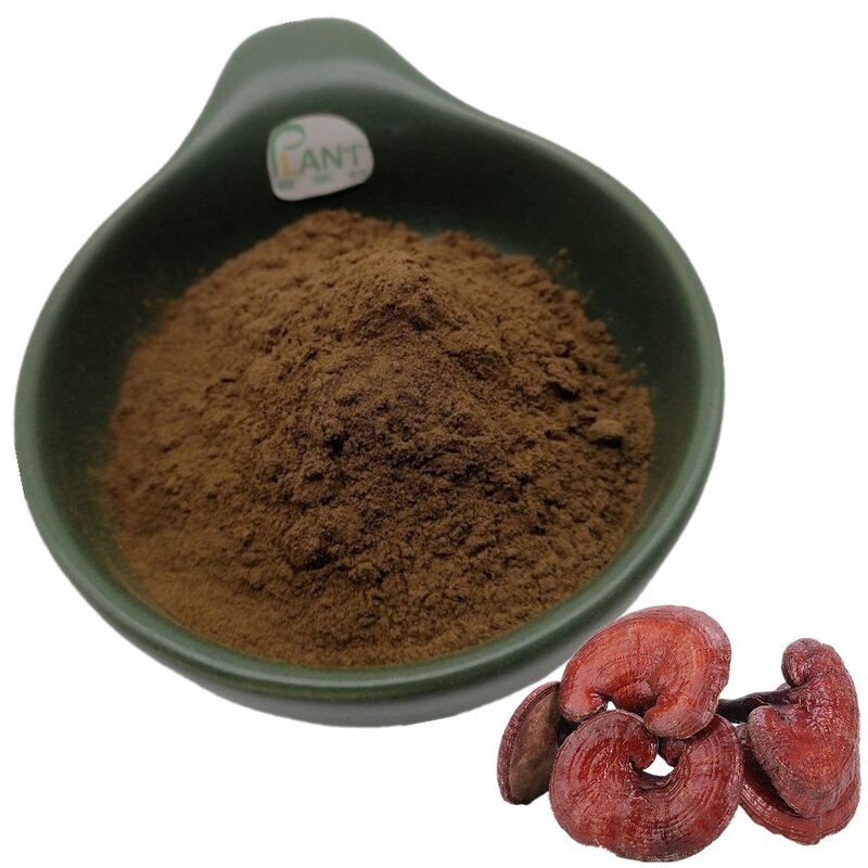 Ganoderma Lucidum Extract Manufacturer - 40% Polysaccharides Reishi & Factory Organic