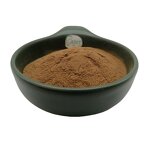 Japanese Raisin Tree Seed Extract Manufacturer - 1% 20% Dihydromyricetin Semen Hoveniae