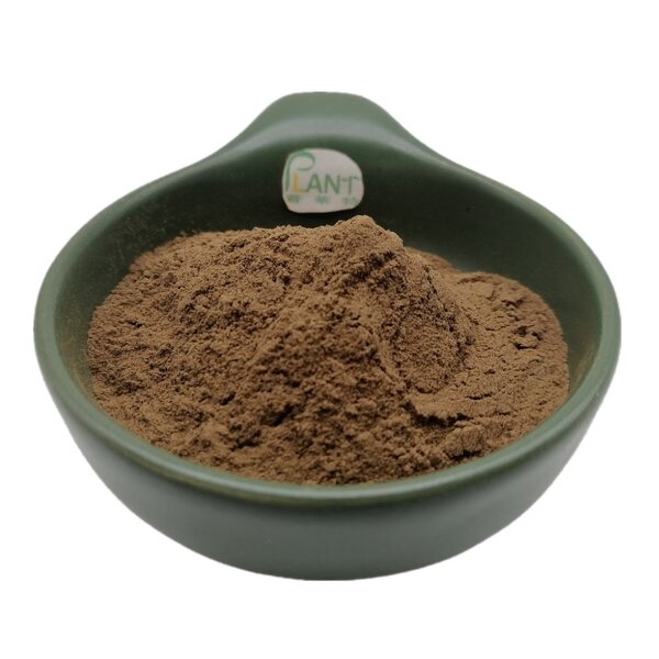 Acacia Catechu Extract Powder Manufacturer - Natural Epicatechin Food Grade & Bulk