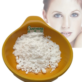 Hyaluronic Acid Powder Manufacturer - Low Molecular Weight 3K 8K 10K 20K Dalton Cosmetic