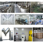 L-Citrulline Powder Manufacturer - Food Grade CAS 372-75-8 Hot Selling & Wholesale