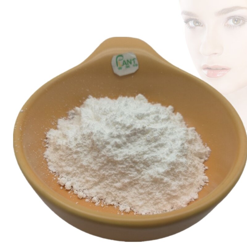 Hyaluronic Acid Powder Manufacturer - Food Grade 3K 10K 100K 1000K High Quality