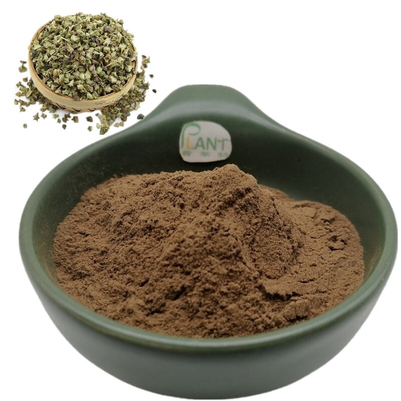 Tribulus Terrestris Extract Powder Manufacturer - 90% Saponins 40% Protodioscin Food Grade