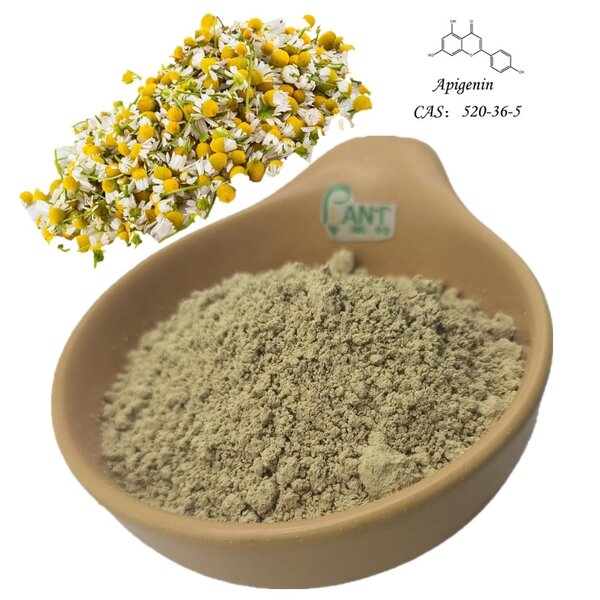 Chamomile Flower Extract Manufacturer - 98% Apigenin Pure Organic CAS 520-36-5
