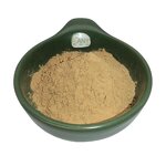 Polygala Extract Powder Manufacturer - 10:1 20:1 Yuan Zhi Tenuifolia & High Quality