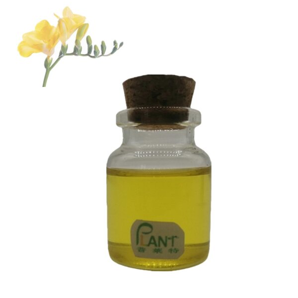 Evening Primrose Oil Manufacturer - Pure Essential Oil Bulk & High Quality