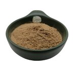 Maitake Powder Manufacturer - Mushroom Polysaccharide Pure & Factory Price