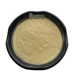 Bromelain Powder Manufacturer - 1200-5000 GDU Pineapple Extract Cosmetic & Factory