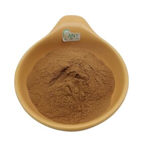 Parsley Root Extract Powder Manufacturer - 10:1 20:1 Ingredient & High Quality
