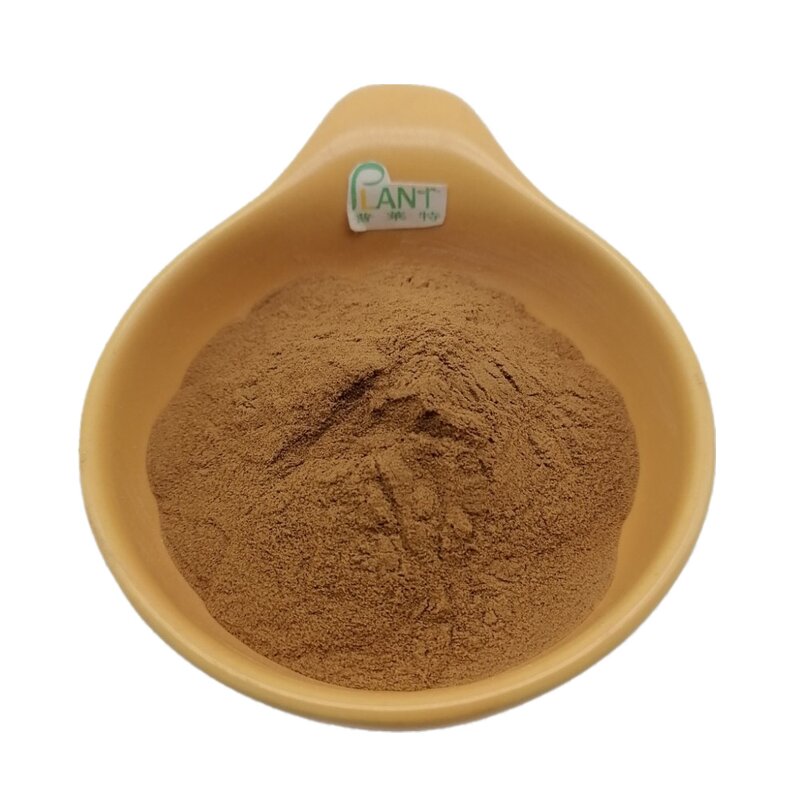 Parsley Root Extract Powder Manufacturer - 10:1 20:1 Ingredient & High Quality