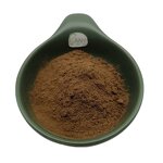Ganoderma Lucidum Extract Powder Manufacturer - Reishi Mushroom 10% 40% Polysaccharides