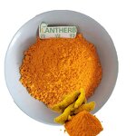 Curcumin Powder Manufacturer - 95% Turmeric Root Extract Natural & High Quality