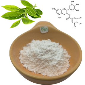 Uncaria Gambir Extract Manufacturer - 50% 98% Rhynchophylline Powder Food Grade & Supply