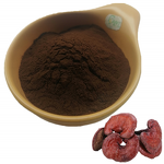 Ganoderma Lucidum Extract Manufacturer - 40% Polysaccharides Reishi & Factory Organic