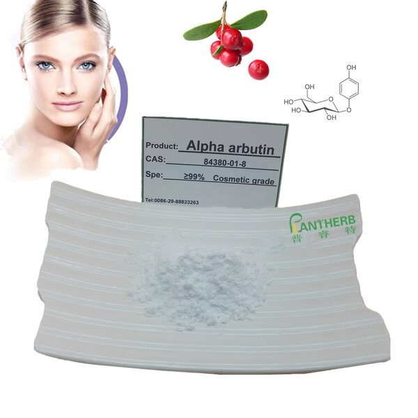 Alpha Arbutin Powder Manufacturer - 99.9% Pure Skin Whitening Cosmetic Grade CAS 84380-01-8