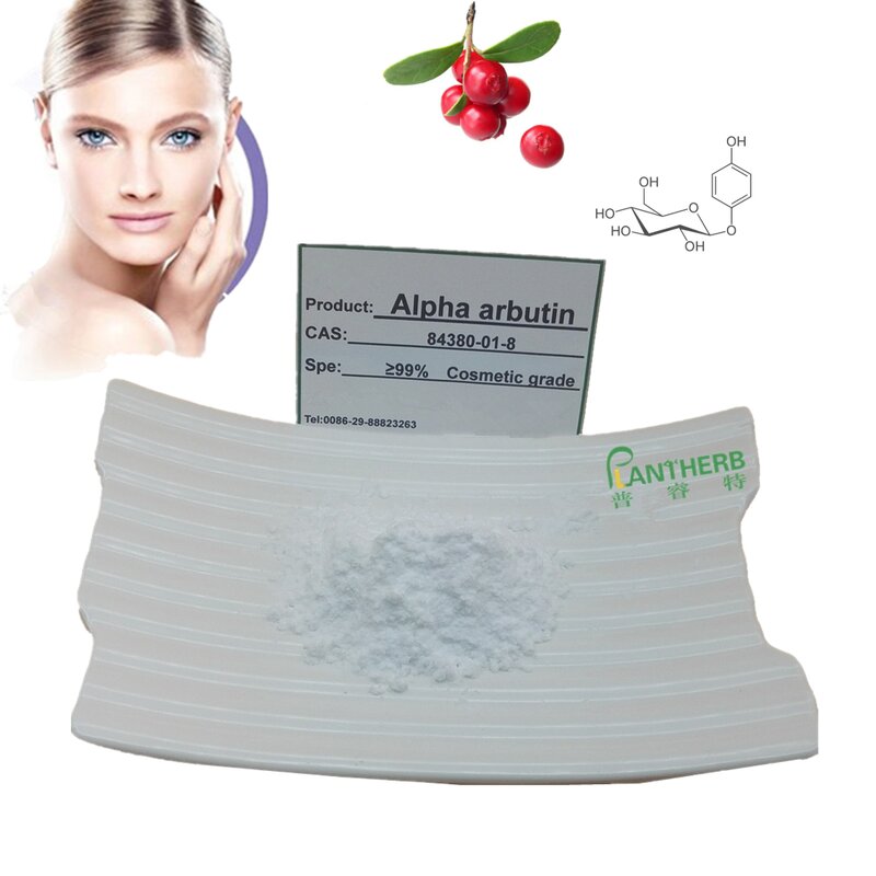 Alpha Arbutin Powder Manufacturer - 99.9% Pure Skin Whitening Cosmetic Grade CAS 84380-01-8