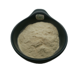 Lemon Powder Manufacturer - Instant Juice Powder & Factory