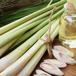 Lemongrass Water Manufacturer - Wholesale Bulk Price Steam Distilled - Summer 100% Pure Natural Skin Care Hydrosol