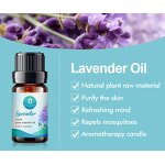Essential Oil Manufacturer - Customize Aromatherapy Diluted Private Label 0.33oz Roll on - Mint Oregano Tea Tree Lemon Grass Eucalyptus Lavender Oil