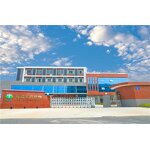 Essential Oil Manufacturer - Private Label Diffusing 10ml - Lavender Eucalyptus Lemon Tea Tree Orange Peppermint Diffuser