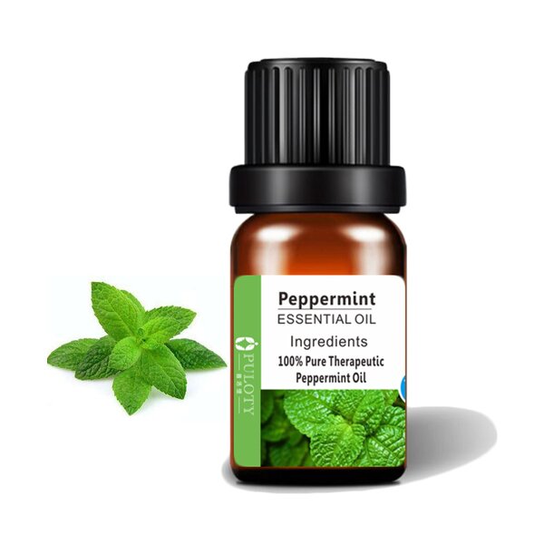 Peppermint Essential Oil Manufacturer - Wholesale Bulk 30ml Free Sample - Private Label Pure Natural Organic Insect Repellent