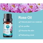 Rose Oil Manufacturer - Factory Wholesale Bulk Free Sample Private Label Hair Care - Massage Pure Natural Organic