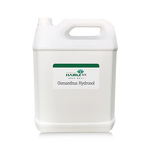 Osmanthus Hydrosol Manufacturer - Wholesale Bulk Price - Natural Plant Extract Facial Care Skincare Osmanthus Water