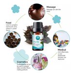 Clary Sage Oil Manufacturer - Carrier Oil Manufacturer Supply Wholesale Plant Fragrance - Soothe Mind Aromatherapy Soap Making