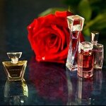 Rose Water Manufacturer - OEM/ODM 100% Natural - Moisturizing Skin Care Rose Hydrosol