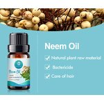 Neem Oil Manufacturer - Manufacturer Wholesale Bulk Free Sample - Private Label Pure Natural Organic Agriculture