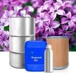 Eugenol Manufacturer - Chinese Manufacturer High Quality - Oral Care Perfume Food Additives Free Sample