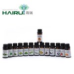 Essential Oil Blend Manufacturer - Hot Selling Aromatherapy 10ml - Tangerine Peppermint Tea Tree Lemon Orange Oil