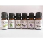Essential Oil Kit Manufacturer - Customize 10ml 6 Packs Ceramic Diffuser - Eucalyptus Lavender Rose Tea Tree Peppermint Oil Kit