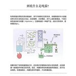 Rose Water Manufacturer - OEM/ODM 100% Natural - Moisturizing Skin Care Rose Hydrosol