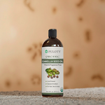 Camellia Seed Oil Manufacturer - Chinese Own Brand Bulk Wholesale - Skin Care Hair Care Oil