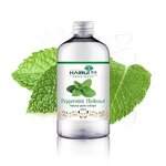 Peppermint Hydrosol Manufacturer - Hot Selling Wholesale Price MOQ 1KG - Natural Plant Extract Skin Care Hydrosol
