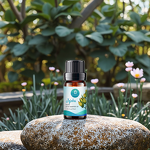 Jojoba Oil Manufacturer - Plant Extract Essential Oil - Skin Moisturize Improve Hair Quality Carrier Oil