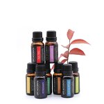 Essential Oil Blend Manufacturer - Hot Selling Aromatherapy 10ml - Tangerine Peppermint Tea Tree Lemon Orange Oil