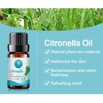 Citronella Essential Oil Manufacturer - Factory Wholesale Bulk Free Sample - Private Label Natural Organic Mosquito Repellent
