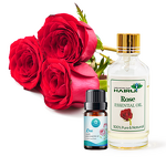 Rose Oil Manufacturer - Factory Wholesale Bulk Free Sample Private Label Hair Care - Massage Pure Natural Organic