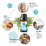 Lemongrass Essential Oil Manufacturer - Factory Wholesale Bulk Free Sample - Private Label Pure Natural Organic Bees Hair Care