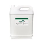 Peppermint Hydrosol Manufacturer - Hot Selling Wholesale Price MOQ 1KG - Natural Plant Extract Skin Care Hydrosol