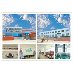 Jojoba Oil Manufacturer - Plant Extract Essential Oil - Skin Moisturize Improve Hair Quality Carrier Oil