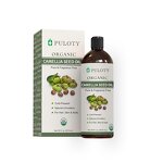 Camellia Seed Oil Manufacturer - Chinese Own Brand Bulk Wholesale - Skin Care Hair Care Oil