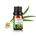 Eucalyptus Oil Manufacturer - Supply Wholesale Price 10ml Rollerball Type - Pest Control Stay Awake Essential Oil