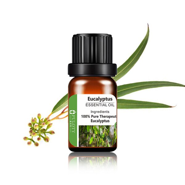 Eucalyptus Oil Manufacturer - Supply Wholesale Price 10ml Rollerball Type - Pest Control Stay Awake Essential Oil