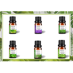 Essential Oil Box Manufacturer - Calm Waves Bliss Custom Massage - Ultimate Blissful Release Aromatherapy Essential Oil Box